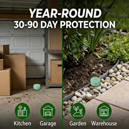 Popular Natural Rodent Repellent Balls!