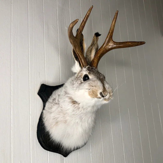 Jackalope Wall Decor-Handmade decorative art