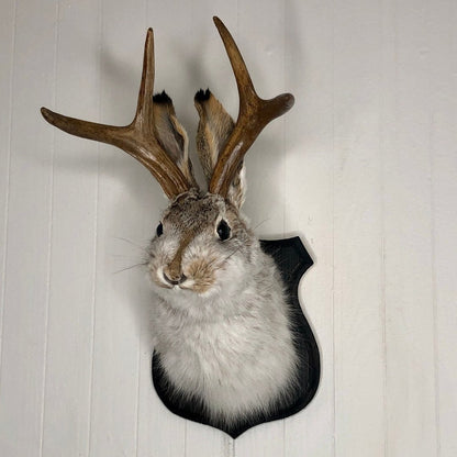 Jackalope Wall Decor-Handmade decorative art