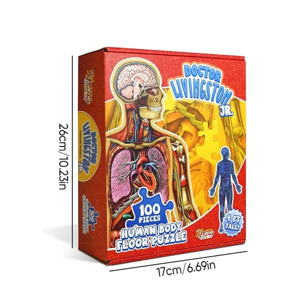 Human Anatomy Puzzle for Kids