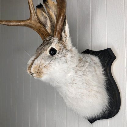 Jackalope Wall Decor-Handmade decorative art