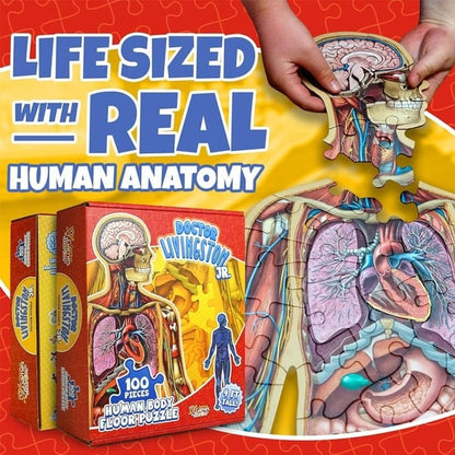 Human Anatomy Puzzle for Kids