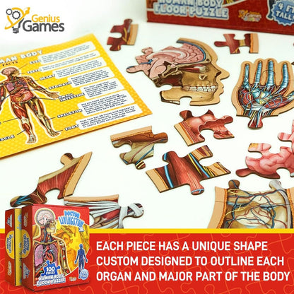 Human Anatomy Puzzle for Kids