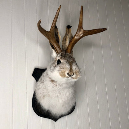 Jackalope Wall Decor-Handmade decorative art