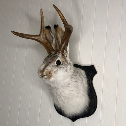 Jackalope Wall Decor-Handmade decorative art